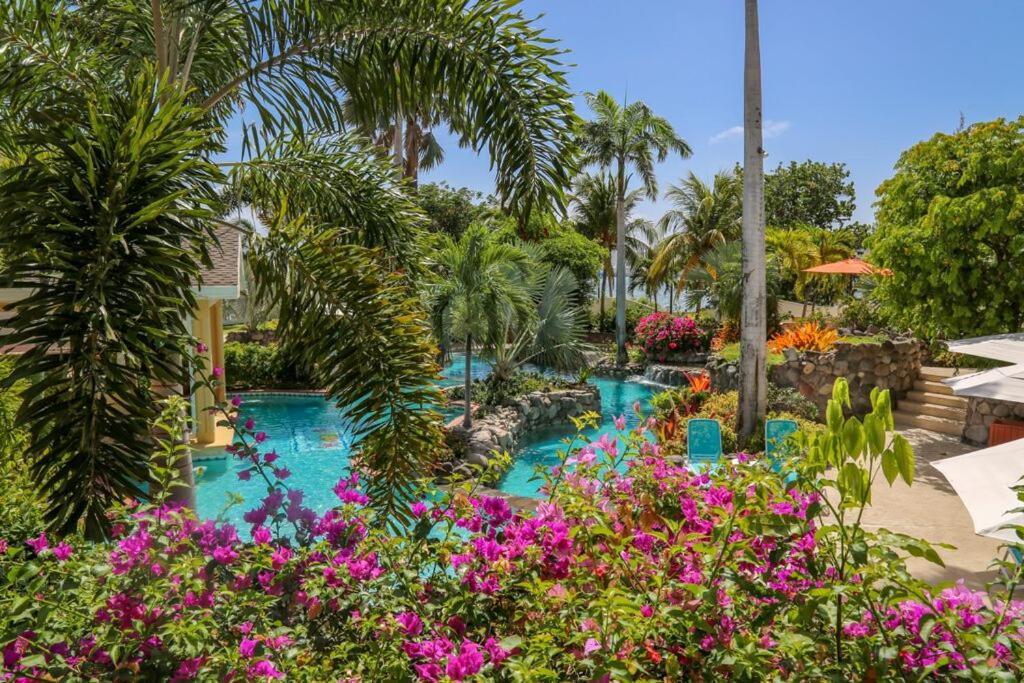 Ocean Terrace Inn Hotel Basseterre Kültér fotó